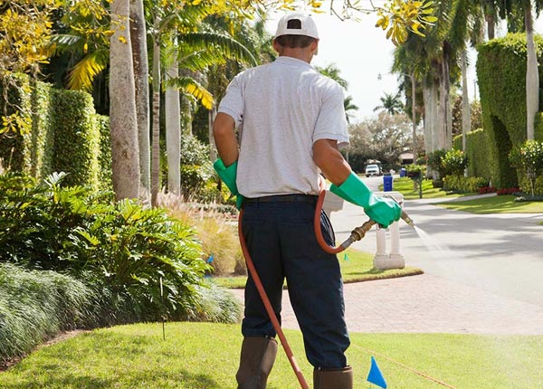 About Pierrepont Manor NY Pest Control